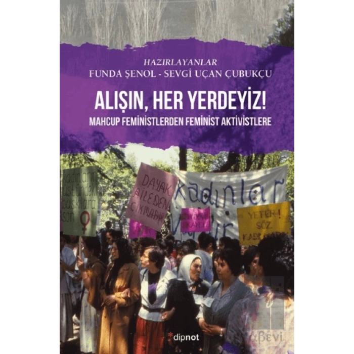 Alışın, Her Yerdeyiz Mahcup Feministlerden Feminist Aktivistlere