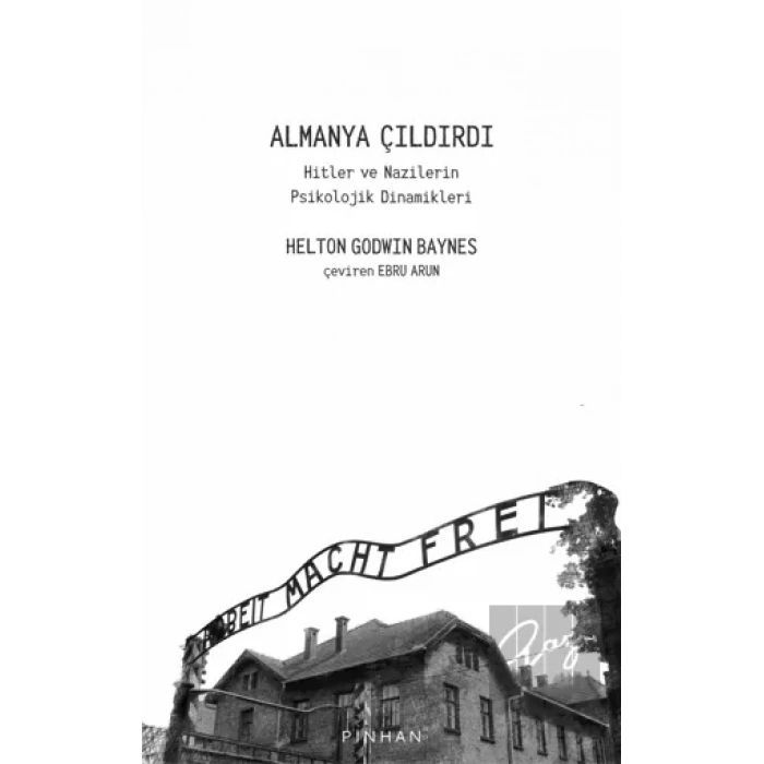 Almanya Çıldırdı