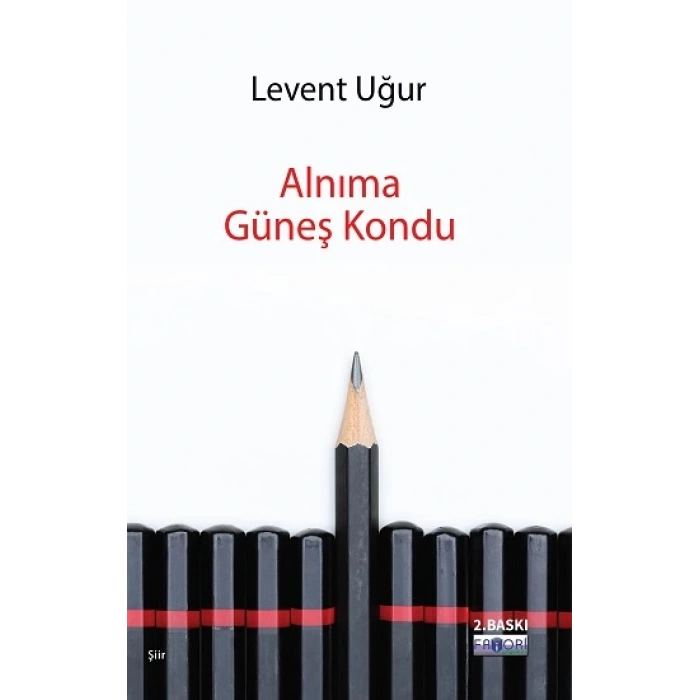 Alnıma Güneş Kondu