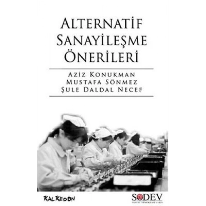 Alternatif Sanayileşme Önerileri