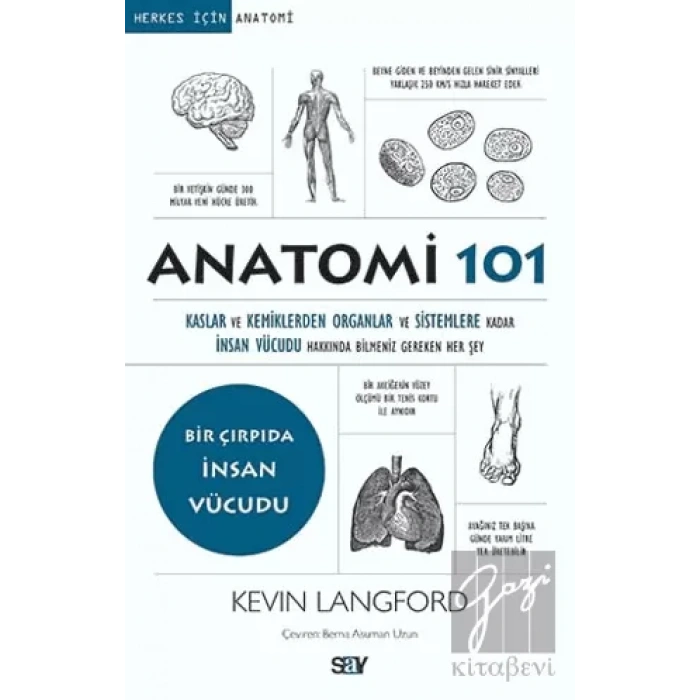 Anatomi 101
