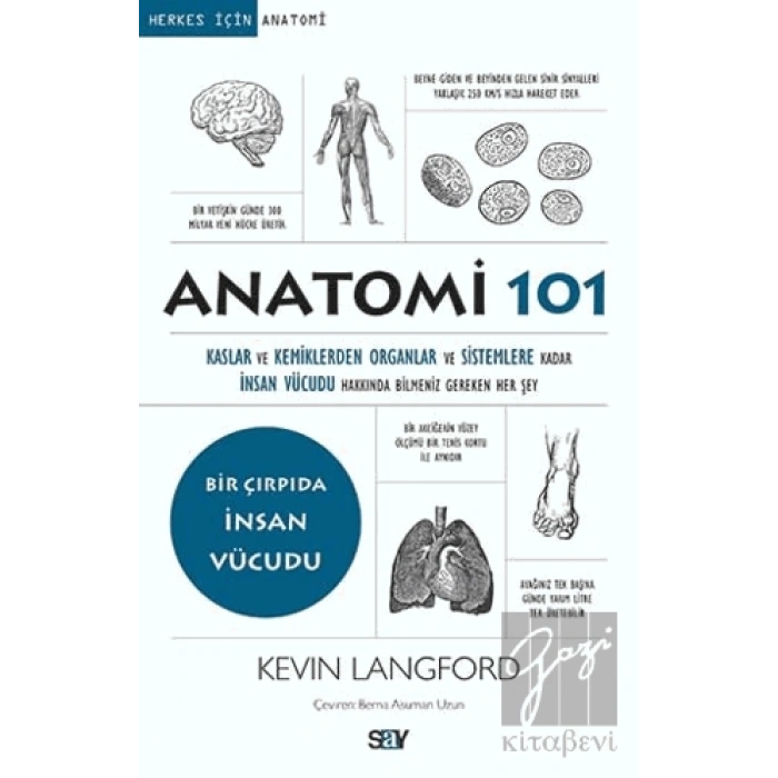 Anatomi 101