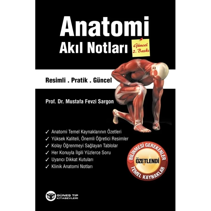 Anatomi Akıl Notları