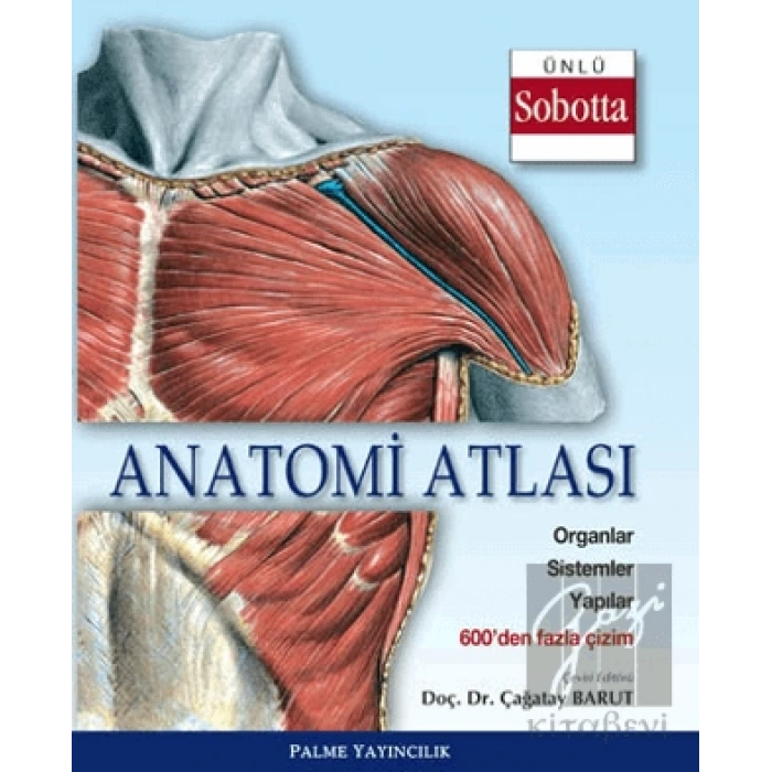 Anatomi Atlası (Sobotta Çizimleri)