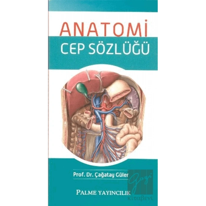 Anatomi Cep Sözlüğü