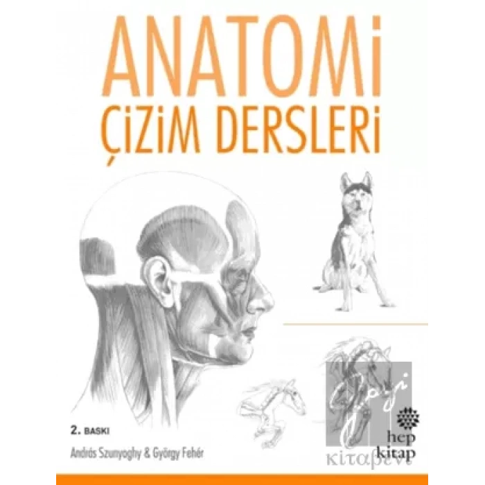 Anatomi Çizim Dersleri