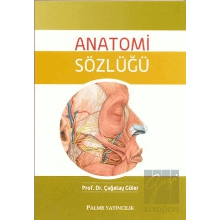 Anatomi Sözlüğü