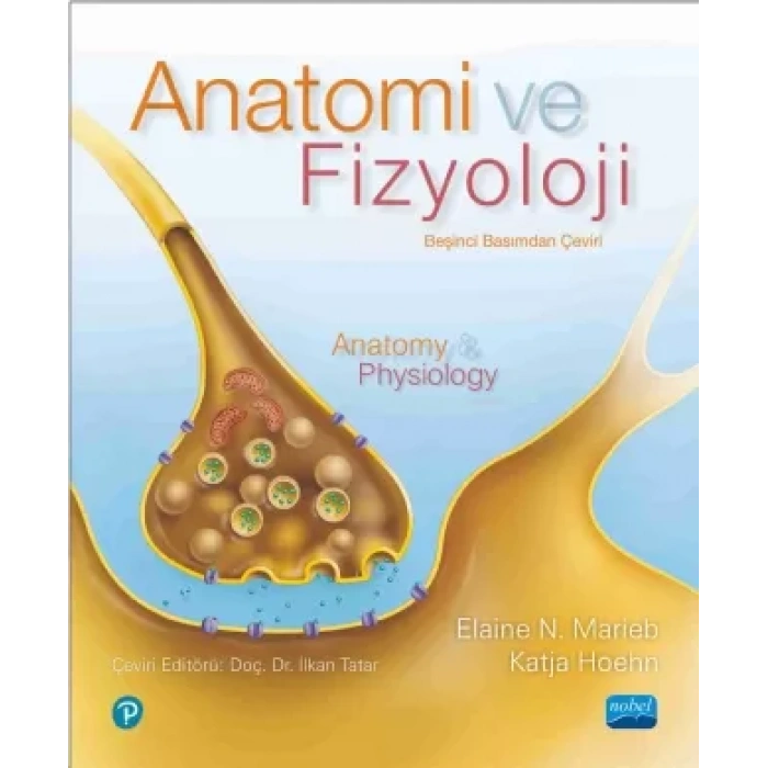 ANATOMİ VE FİZYOLOJİ - Anatomy & Physiology