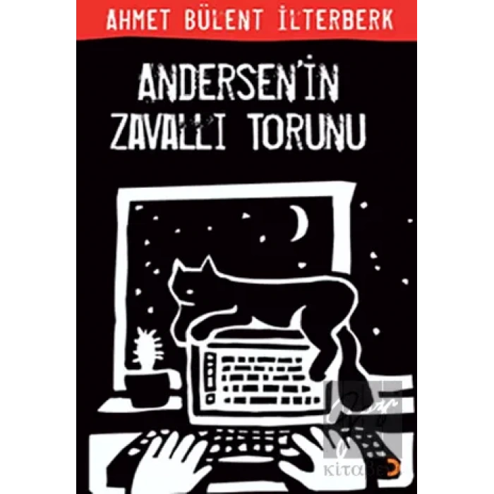 Andersen’in Zavallı Torunu