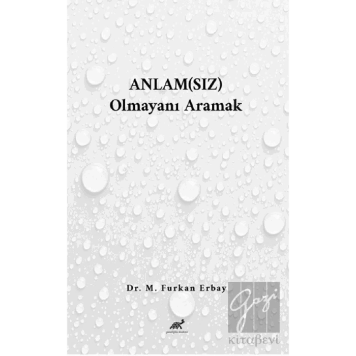 Anlam(sız) Olmayanı Aramak