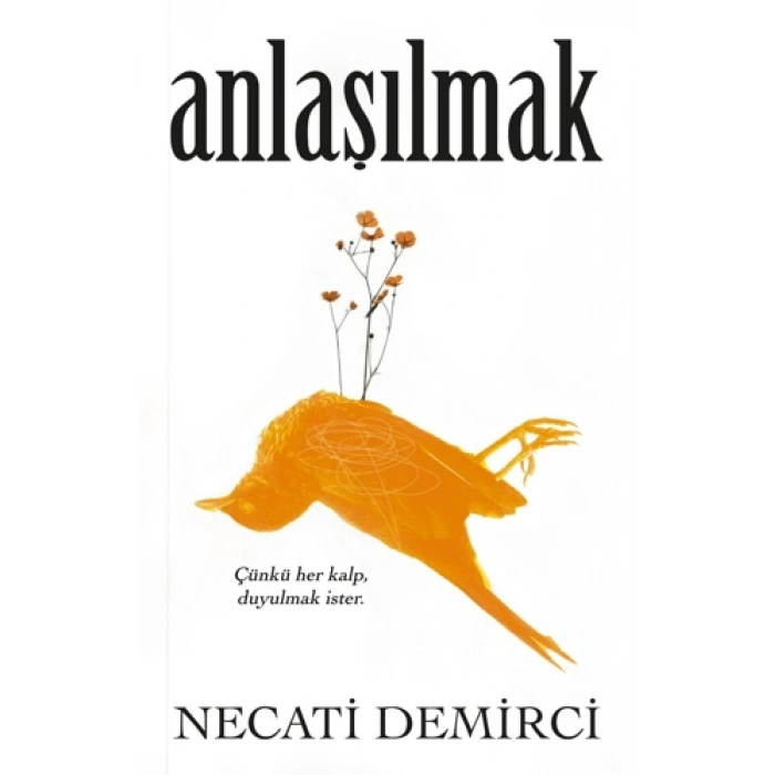 Anlaşılmak