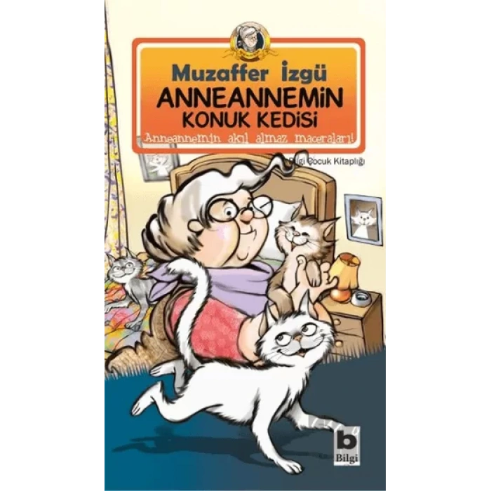 Anneannemin Konuk Kedisi