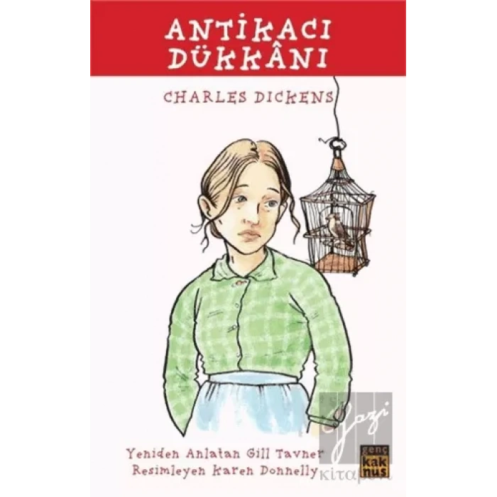 Antikacı Dükkanı