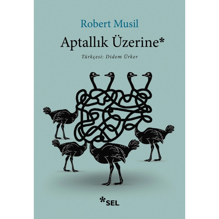 Aptallık Üzerine