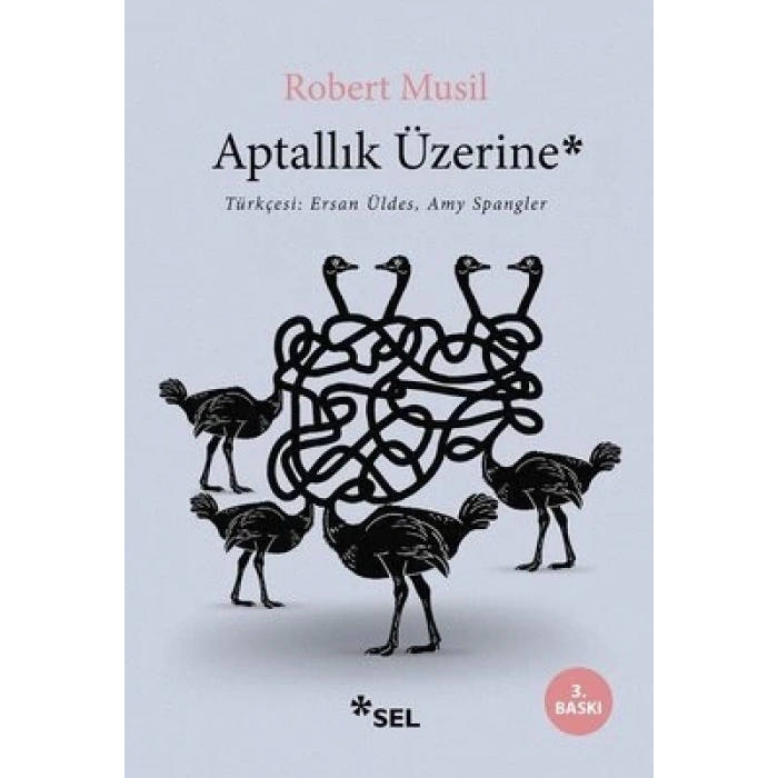Aptallık Üzerine