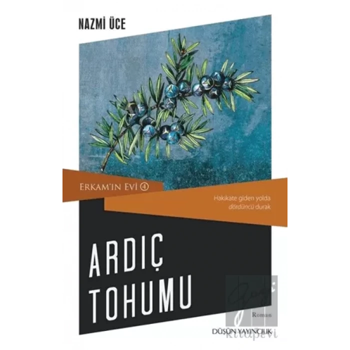 Ardıç Tohumu - Erkamın Evi 4