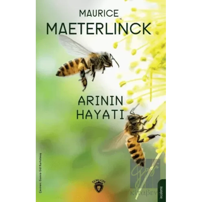 Arının Hayatı