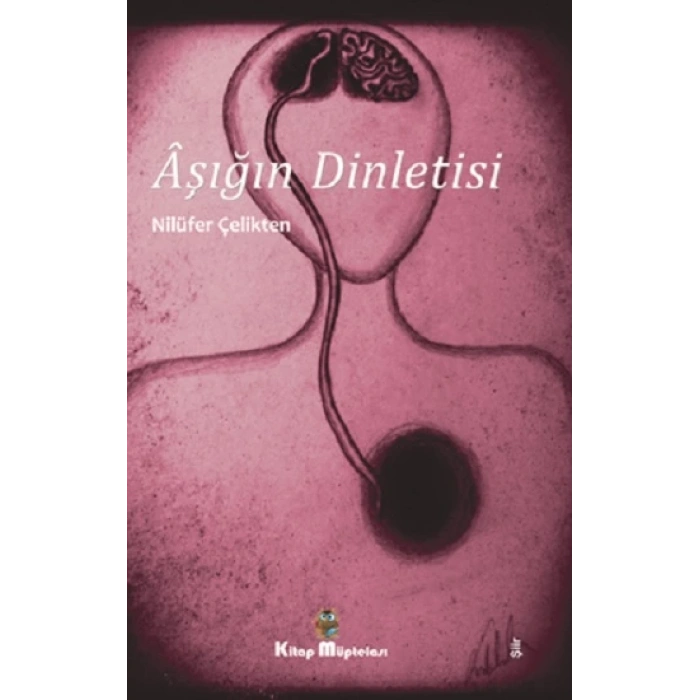 Aşığın Dinletisi