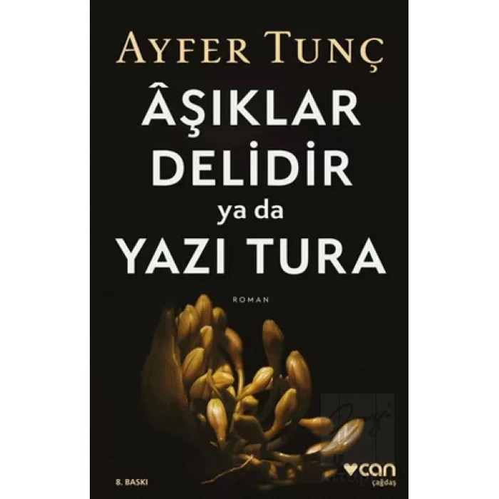 Aşıklar Delidir Ya Da Yazı Tura