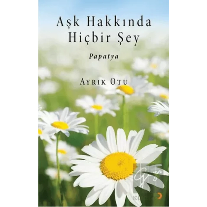 Aşk Hakkında Hiçbir Şey