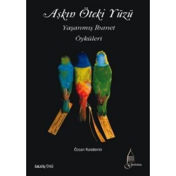 Aşkın Öteki Yüzü SİSTEM