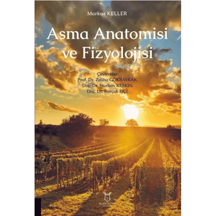 Asma Anatomisi ve Fizyolojisi