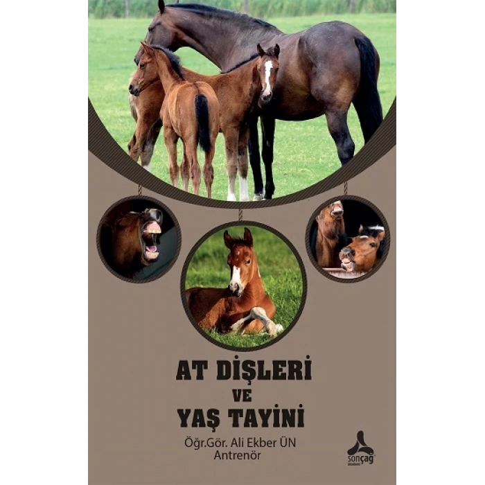 At Dişleri ve Yaş Tayini