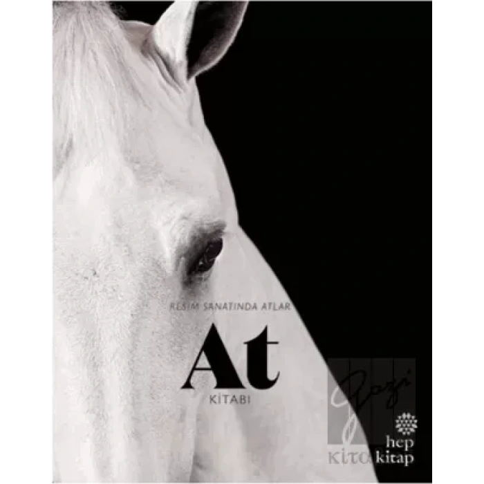 At Kitabı - Resim Sanatında Atlar