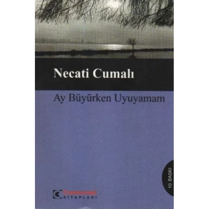 Ay Büyürken Uyuyamam