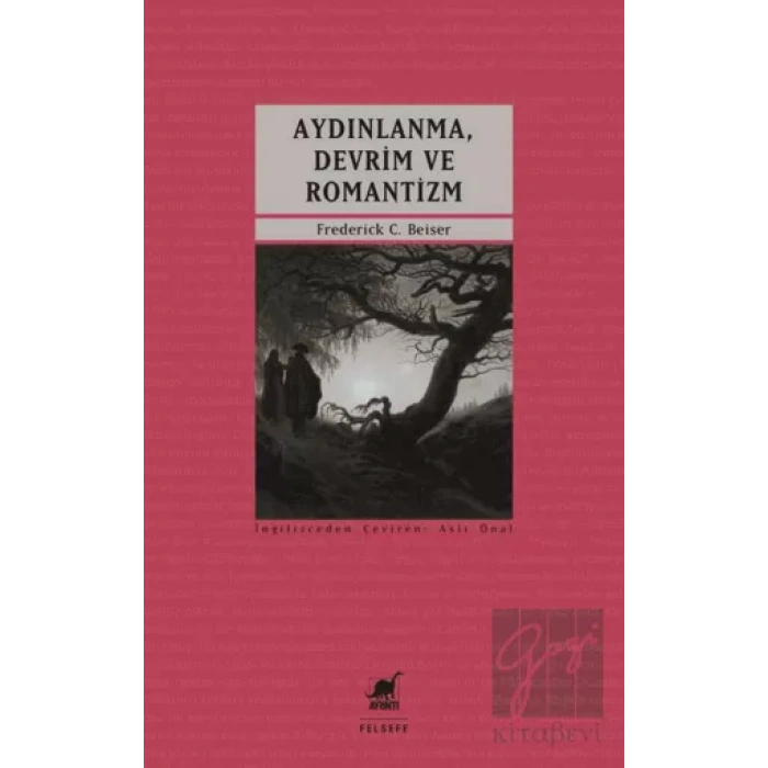 Aydınlanma, Devrim ve Romantizm