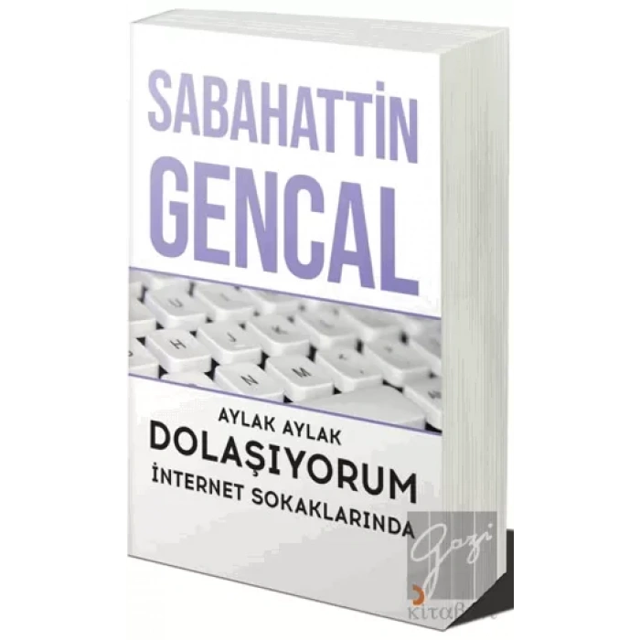 Aylak Aylak Dolaşıyorum İnternet Sokaklarında