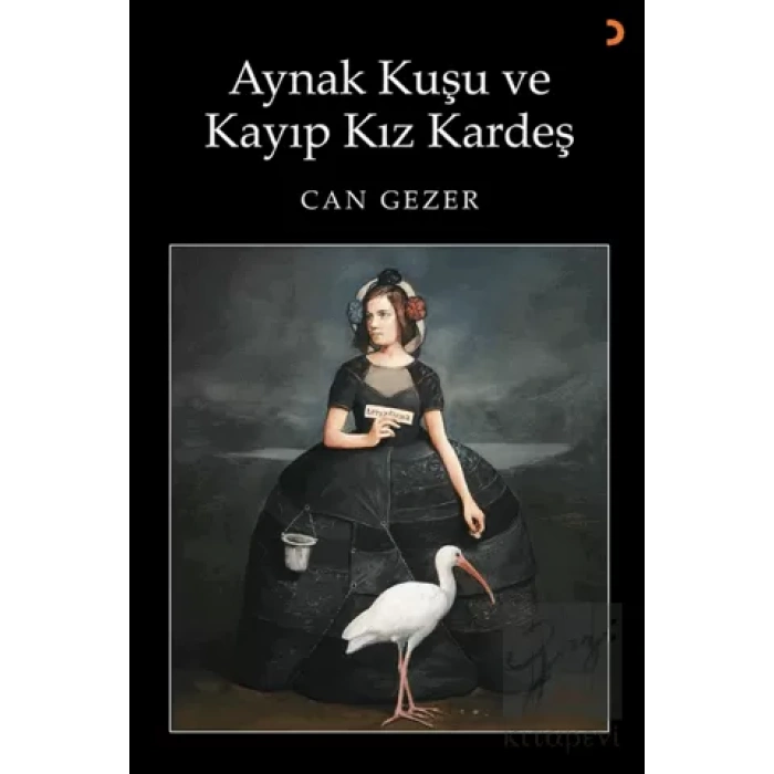 Aynak Kuşu ve Kayıp Kız Kardeş