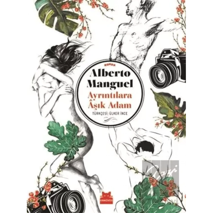 Ayrıntılara Aşık Adam