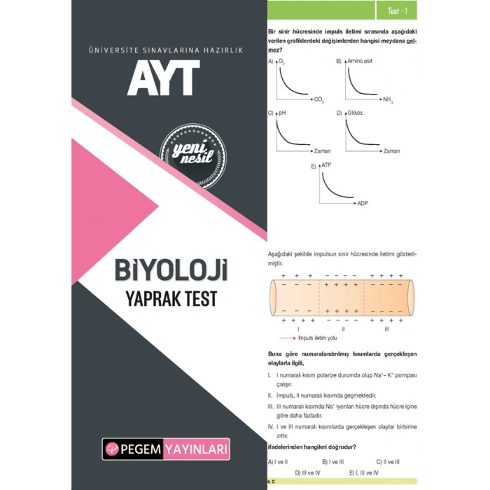 AYT BİYOLOJİ YAPRAK TEST