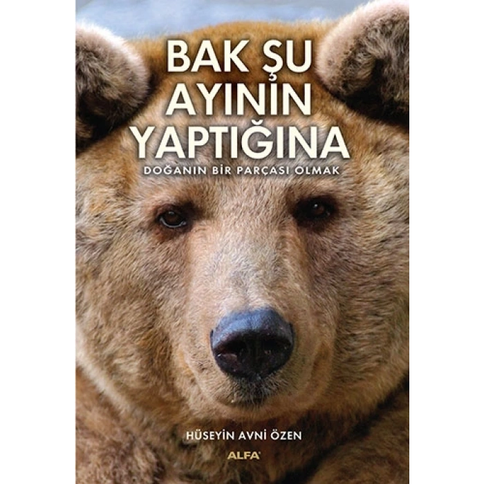 Bak Şu Ayının Yaptığına