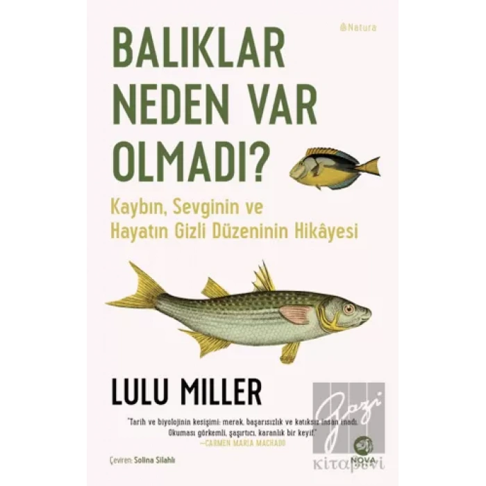 Balıklar Neden Var Olmadı?