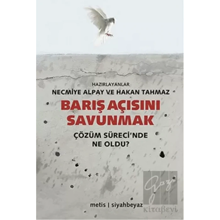 Barış Açısını Savunmak: Çözüm Sürecinde Ne Oldu