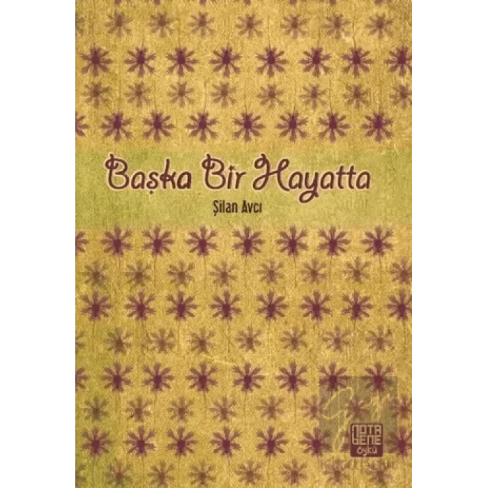 Başka Bir Hayatta