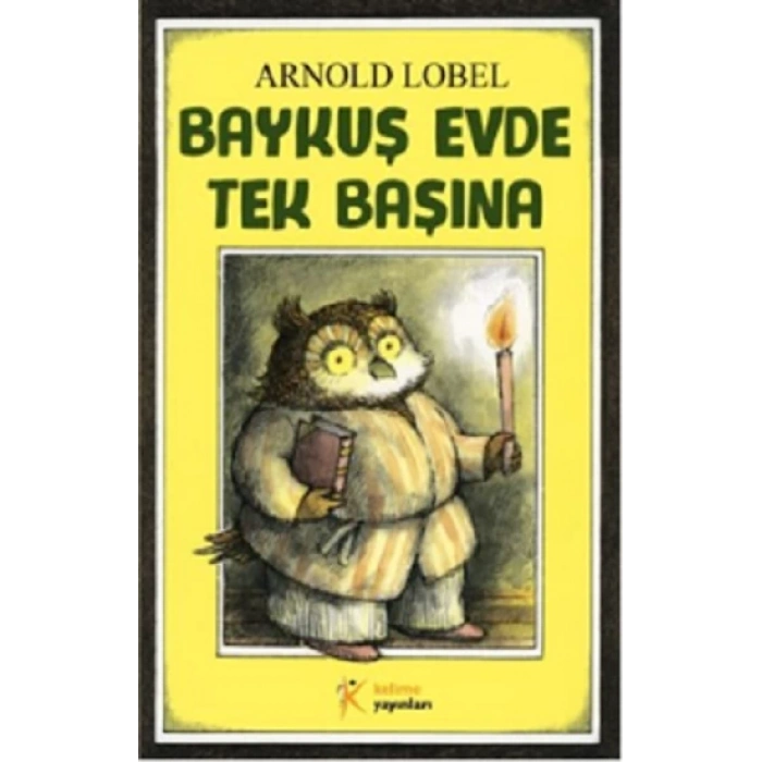 Baykuş Evde Tek Başına