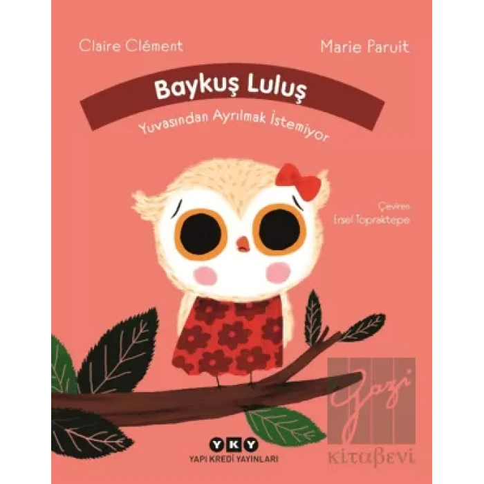 Baykuş Luluş Yuvasından Ayrılmak İstemiyor