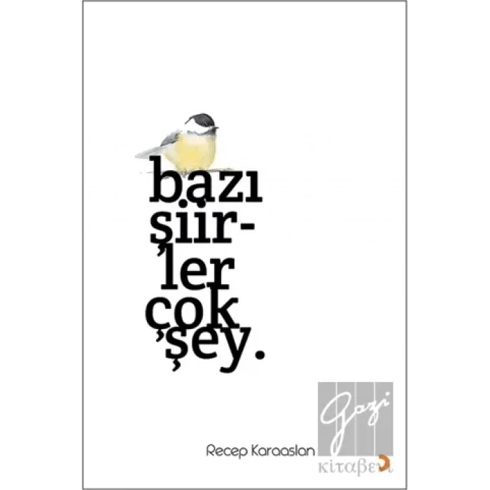 Bazı Şiirler Çok Şey.