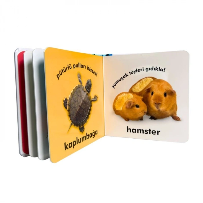 Bebek Dokun ve Hisset Evcil Hayvanlar