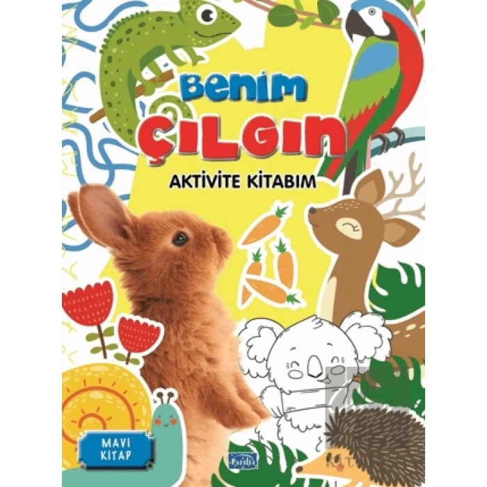 Benim Çılgın Aktivite Kitabım – Mavi Kitap