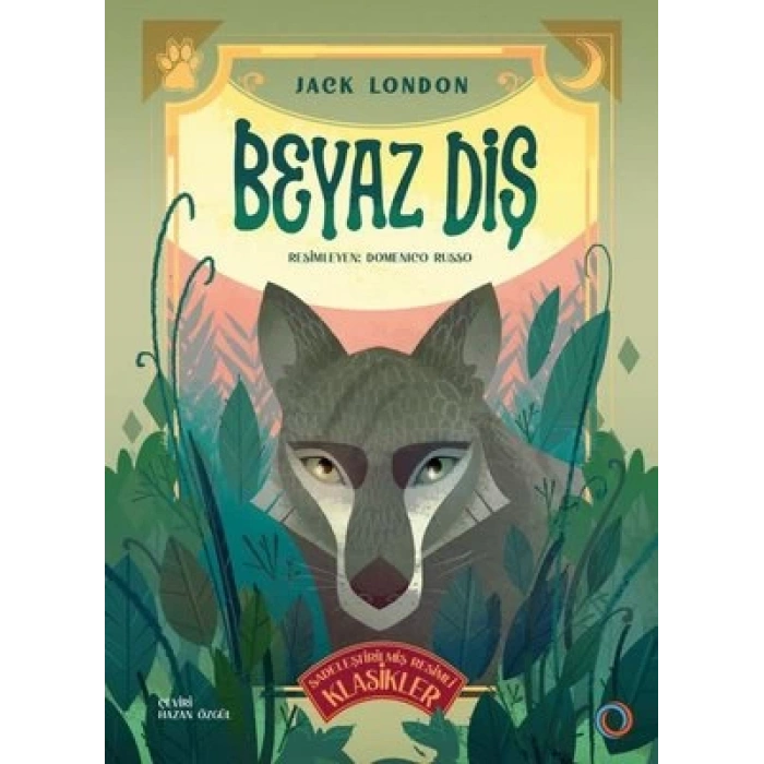 Beyaz Diş - Sadeleştirilmiş Resimli Klasikler