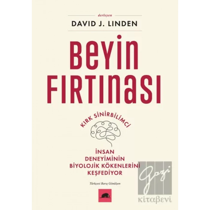 Beyin Fırtınası