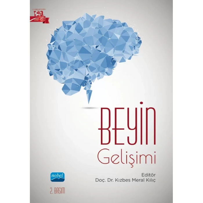Beyin Gelişimi