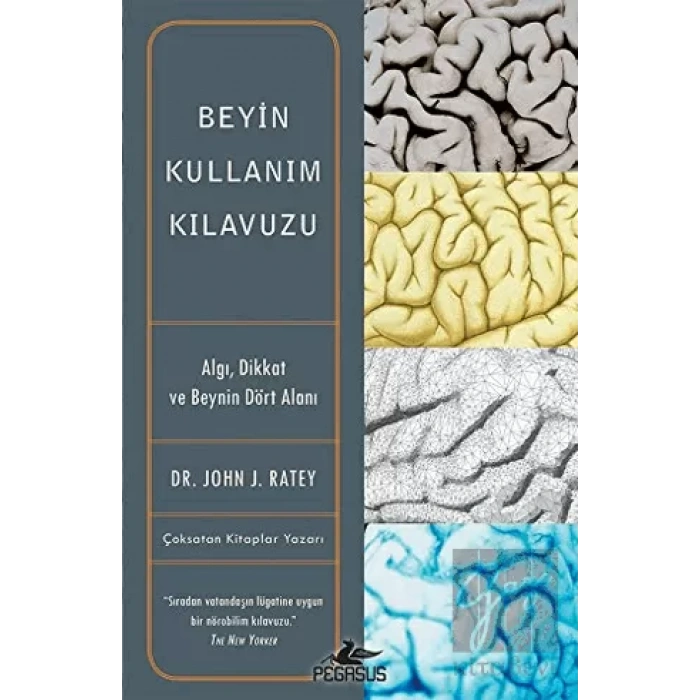 Beyin Kullanım Kılavuzu