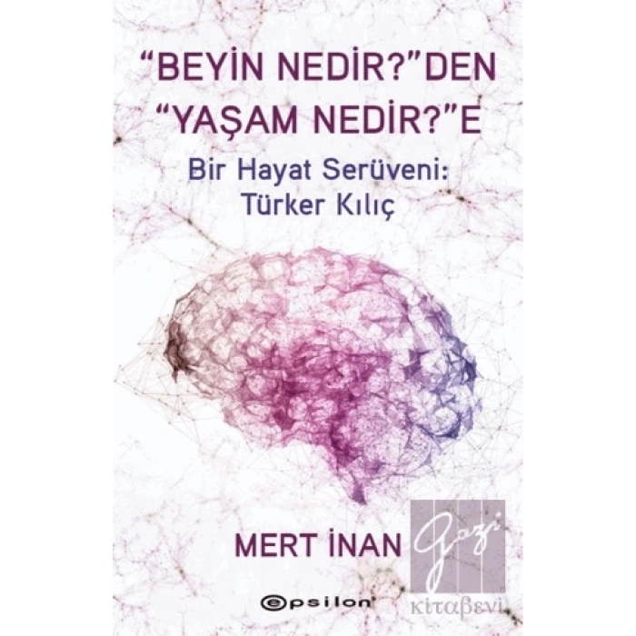 Beyin Nedirden Yaşam Nedire