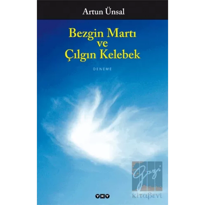 Bezgin Martı ve Çılgın Kelebek