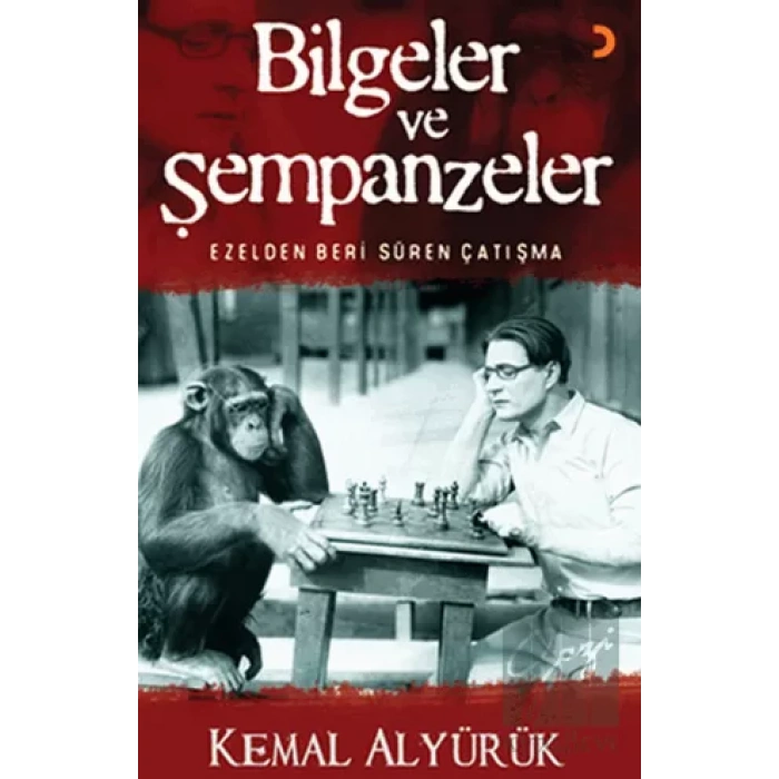 Bilgeler ve Şempanzeler